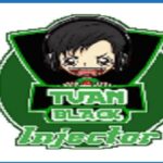 Black Injector Apk