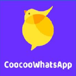 Coocoo WhatsApp 1 Coocoo WhatsApp Apk